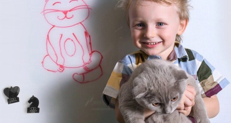 Развивающие интерьеры для детей с магнитно-стеклянными панелями