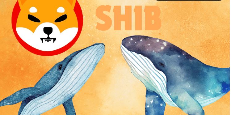 Новый кит сиба-ину накопил 4 000 000 000 000 SHIB на фоне коррекции рынка