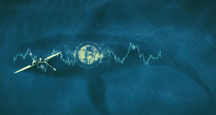Крупный капитал скупает криптовалюту: биткоин обновил исторический максимум