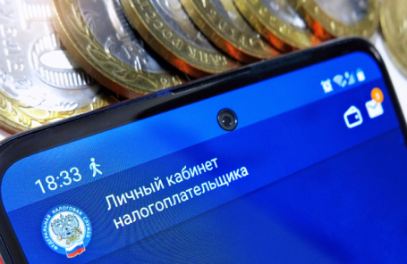 Правительство не поддержало повышение лимита доходов для самозанятых
