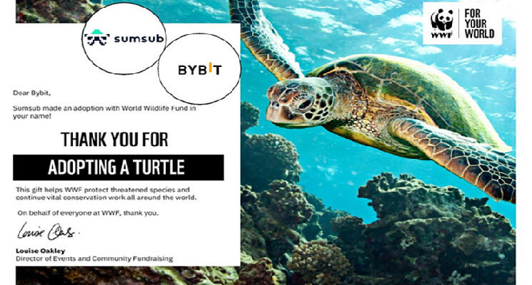 Bybit запустила благотворительную инициативу по спасению черепах