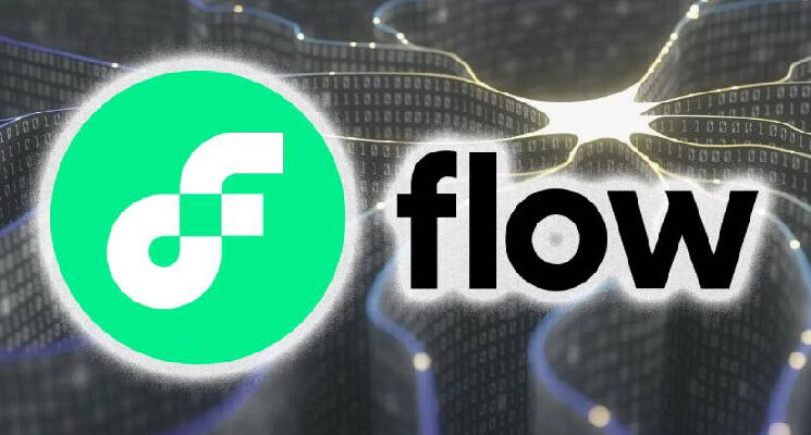Flow показал рост на 91,6% TVL в Q4 2024 года