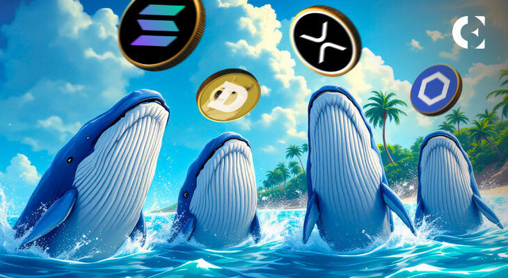 Altcoin Whale Watch: Chainlink лидирует в росте, поскольку XRP, Solana и Dogecoin демонстрируют неоднозначные сигналы Altcoin Whale Watch: Chainlink лидирует в росте, поскольку XRP, Solana и Dogecoin демонстрируют неоднозначные сигналы
