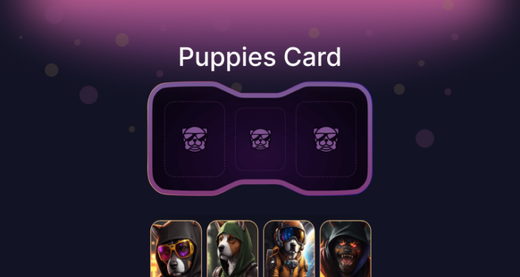 Комбо в Not Bored Puppies на 8 Марта